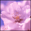 Better with Each Day -- Get Well Greeting Cards For Anyone project from Yahoo! Greetings