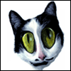 You'll Miss Me -- Twisted Whiskers Just Because Greeting Cards project from Yahoo! Greetings