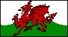 3/1 Happy St. David's Day March eCards