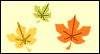 Happy Thanksgiving! Canadian Thanksgiving eCards