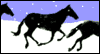 Winter Horses Winter eCards