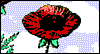 We Honour and Remember Memorial Day eCards