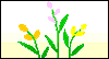 It's Spring Spring eCards