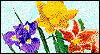 4/22 Girl Scout Leader Day April eCards