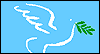 Animated Dove Everyday eCards