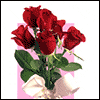 With Love, Aunt --  project from Yahoo! Greetings
