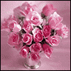 For My Beautiful Wife --  project from Yahoo! Greetings