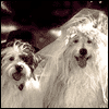 Gettin' Hitched --  project from Yahoo! Greetings