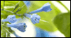 Couldn't Do It<br>Without You Administrative Professional's Day eCards