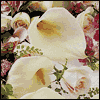 A Blessed Marriage -- Religious Anniversary Greeting Cards project from Yahoo! Greetings