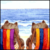 Life's a Beach! -- Celebrate Summer Greeting Cards project from Yahoo! Greetings
