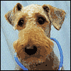Your Pet Is Ill -- Pet Get Well Greeting Cards project from Yahoo! Greetings