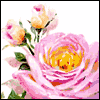 In the Loss of Your Wife -- Loss of Family Member Sympathy Greeting Cards project from Yahoo! Greetings