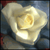 Wonderful Gift -- Thank You Greeting Card project from Yahoo! Greetings