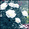 You Raised Me Well -- Just Because Family Greeting Cards project from Yahoo! Greetings