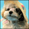 Friendly "Hi" --  project from Yahoo! Greetings