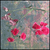 Miss You, Keep in Touch -- Just Because I Miss You Greeting Cards project from Yahoo! Greetings