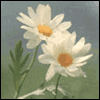 No Special Reason  -- Printable Just Because Im Thinking of You Greeting Cards eCard from American Greetings
