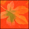 Romantic  -- Printable Significant Other Thanksgiving Greeting Cards eCard from American Greetings
