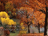 Beautiful Autumn celebrate fall ecards