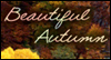 Beautiful Autumn