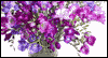 You're Special Mother-In-Law's Day eCards