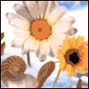 Big Warm Hug -- Grandparents Day Greeting Cards project from Yahoo! Greetings