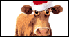 Mooey Christmas Christmas eCards