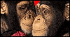 We're a Cute Couple -- Funny Love and Dating eCard from Yahoo! Greetings