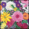 Wonderful Grandma -- Birthday Greeting Cards project from Yahoo! Greetings