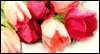 Forever in Your Heart  -- Care & Concern eCard from American Greetings
