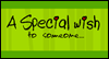 A Special Wish