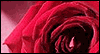 In My Thoughts (Personalized) -- Miss You Love and Dating eCard from Yahoo! Greetings