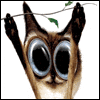 Hang in There 