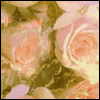 With Deepest Sympathy --  project from Yahoo! Greetings