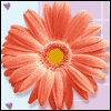 For Special Relative -- Anniversary Greeting Cards project from Yahoo! Greetings