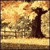Wonderful Husband  -- Printable Significant Other Thanksgiving Greeting Cards eCard from American Greetings
