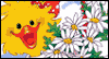 Daisy of a Day -- Keep in Touch eCard from Yahoo! Greetings