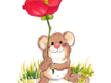 Dear Friend 