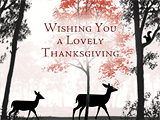 Quiet Beauty thanksgiving ecards