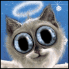 Purr-fect Christmas -- Twisted Whiskers Christmas Greeting Cards project from Yahoo! Greetings