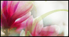 A Daughter Like You  -- Chicken Soup for the Soul Birthday eCard from American Greetings