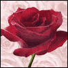 To Mom from All of Us -- Significant Other Valentines Day Greeting Cards project from Yahoo! Greetings