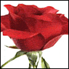 What Is Love? -- Kids Valentines Day Greeting Cards project from Yahoo! Greetings
