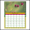 Wildflowers -- Nature's Portraits Calendars project from Yahoo! Greetings
