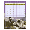 Flowers and Raindrops -- Nature's Portraits Calendars project from Yahoo! Greetings