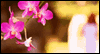 Angel Blessing  -- Religious Birthday eCard from American Greetings