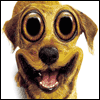 Hyper-happy -- Funny Birthday Greeting Cards project from Yahoo! Greetings
