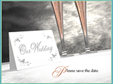 Our Wedding<br>Save the Date engagement ecards