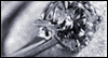 Shiny and New  -- Bloom Wedding & Anniversary eCard from MSN Greetings